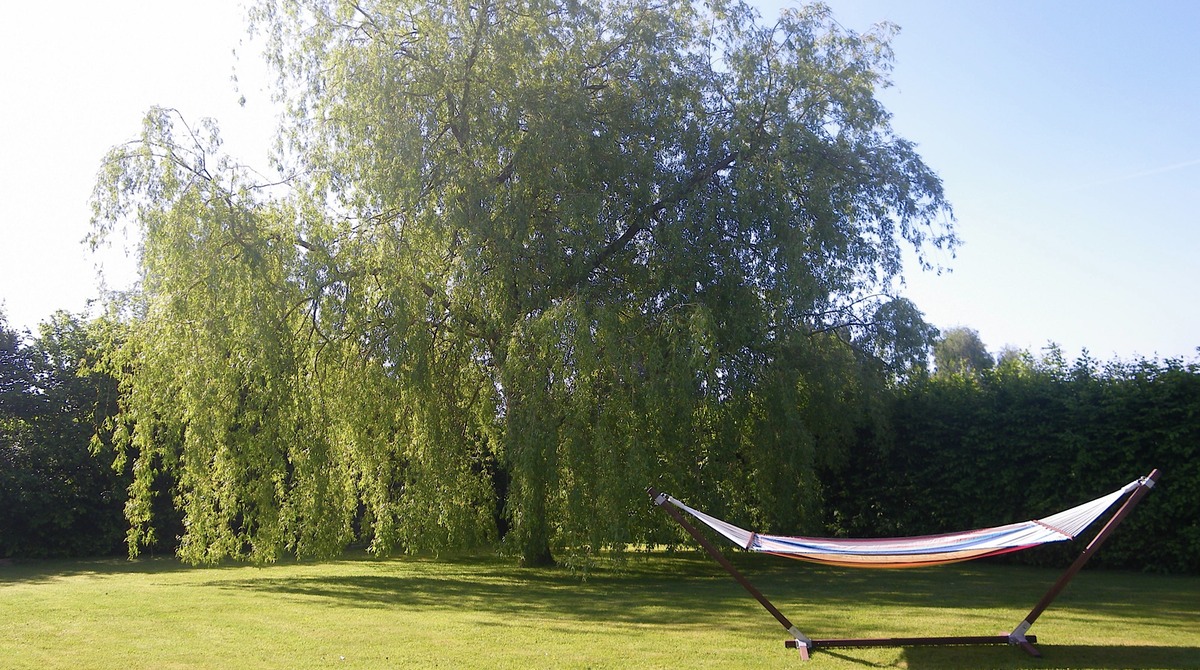 jardinhamac